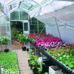 Juliana Gardener Series Greenhouse